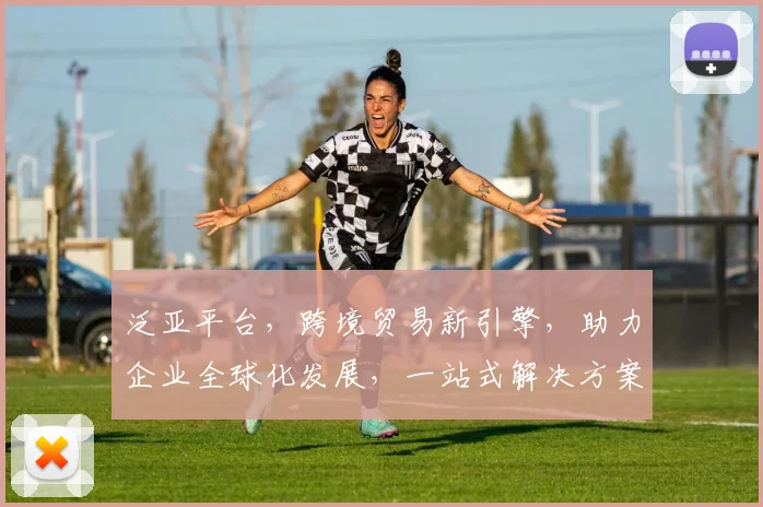泛亚平台，跨境贸易新引擎，助力企业全球化发展，一站式解决方案，成就未来商业传奇。