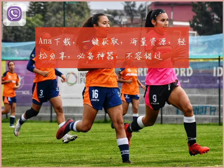 Ana下载，一键获取，海量资源，轻松分享，必备神器，不容错过