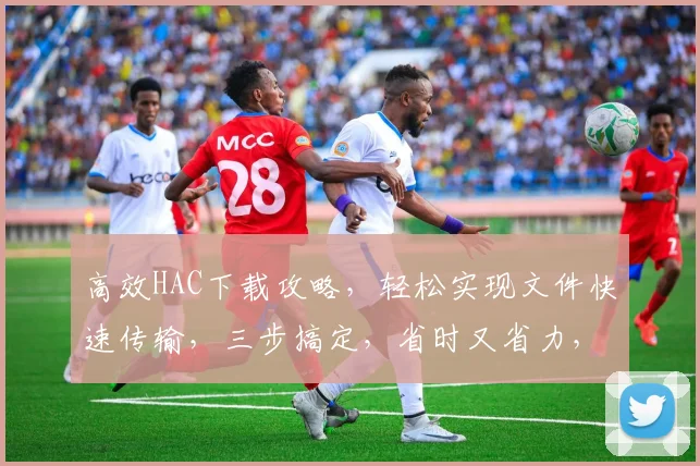 高效HAC下载攻略，轻松实现文件快速传输，三步搞定，省时又省力，不容错过