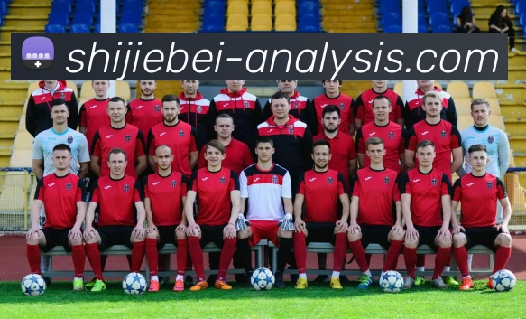 世界杯热门比赛服务体系